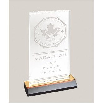 Ice Top Reflection Acrylic Award (4" x 6")