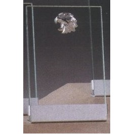 Clear Glass Plaque Award w/Silver Star, Silver Plastic Mounts & Aluminum Alloy Base (4"x6.5")