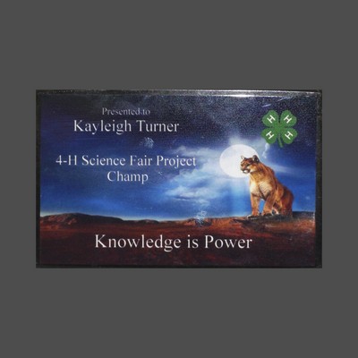 Black Marble Paperweight (3"x6")