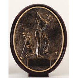 Male Golf Swing Oval Award