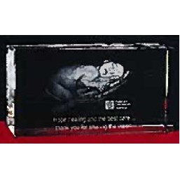 Custom 3-D Image in Crystal Horizontal Award (4")