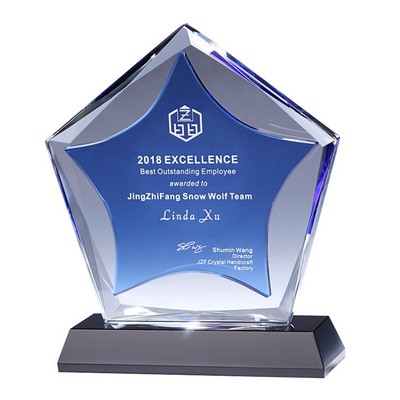 Employee Appreciation Gift Crystal Star Recognition Award End of Year Trophy