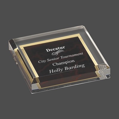 Red Marbleized Acrylic Paperweight (3¾"x3¾")