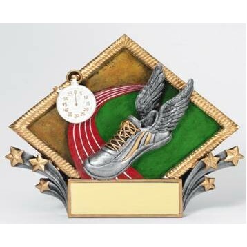 Track Diamond Plate Award - 6"