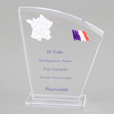 Acrylic Award 1 (5"x 6-3/8"x 2")