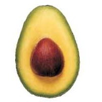 Avocado Lapel Pin