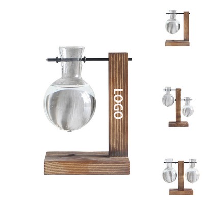 Glass Planter Bulb Vase