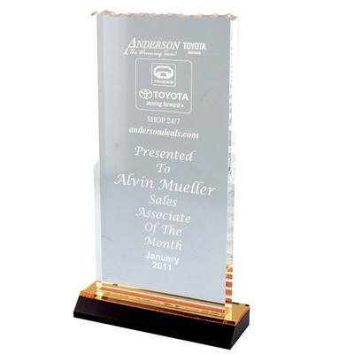 Ice Top Reflection Award (5"x10")