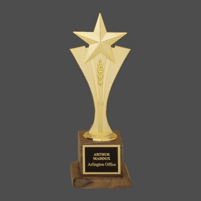 Tall Modern Star Casting Award (3½"x10")