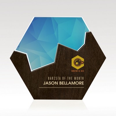 Large Hexagon Edge Puzzle Award