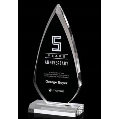 Terrance Award (3.5" x 0.6" x 7.9")