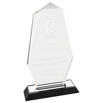 9" Silver Octagon Point Impress Acrylic Award