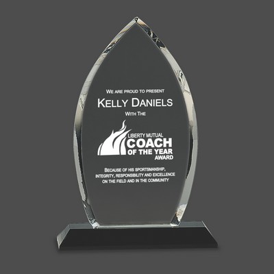 Clear Crystal Oval Award on Black Pedestal Base (9½")