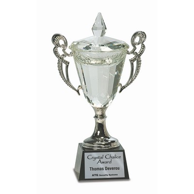 11 1/4" Crystal Cup with Silver Handles and Stem