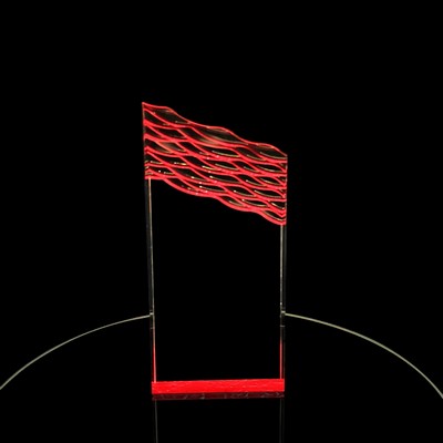 Medium Wavey Top Award