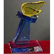 Color Crystal Torch Award