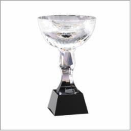 Crystal Cup Award, 12 1/2"H