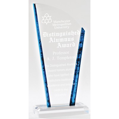Acrylic Merit Award, 9 3/4"H