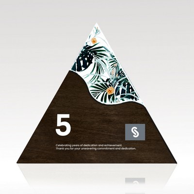 Triangle Acrylic & Wood Award - Medium