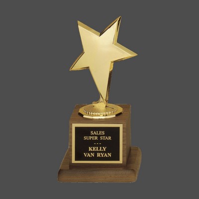 Modern Star Casting Award (3½"x6¾")