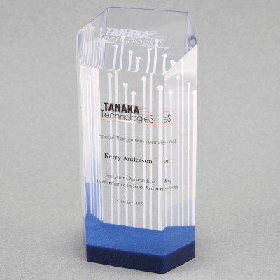 Acrylic Hexagon 1 Award (3-1/2"x 8"x 2")